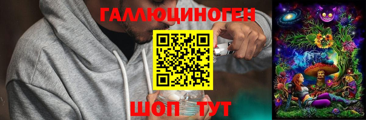 Псилоцибиновые грибы мицелий Владивосток